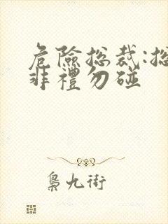 危险总裁:总裁非礼勿碰
