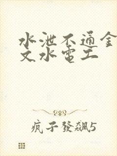 水泄不通金银原文水电工