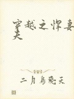 穿越之悍妻共三夫