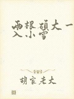 两根硕大一起挤入小雪