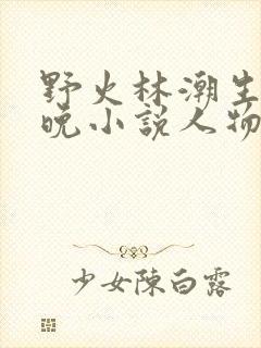 野火林潮生林晚晚小说人物野火