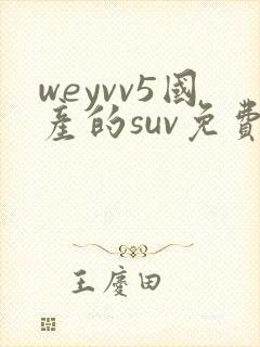 weyvv5国产的suv免费