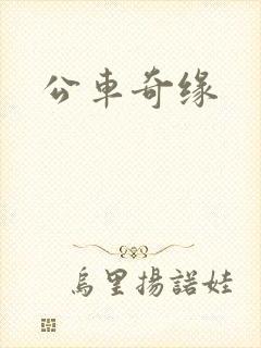 公车奇缘