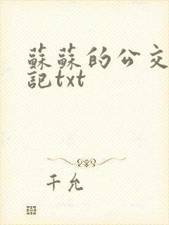 苏苏的公交车日记txt