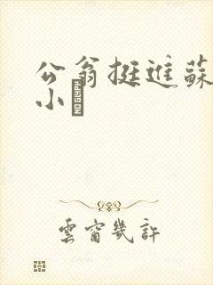 公翁挺进苏玥的小泬