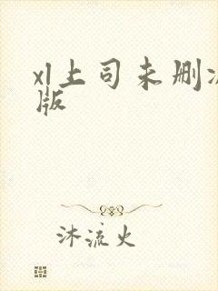 xl上司未删减版