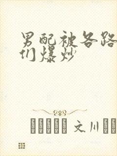 男配被各路大佬们爆炒