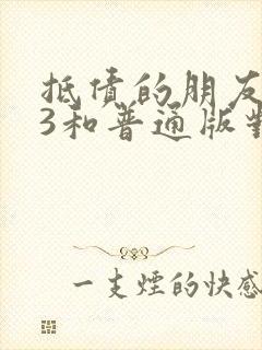 抵债的朋友麦子3和普通版对比