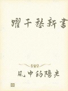 跃千愁新书