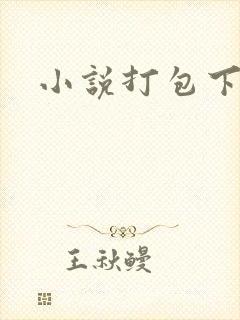 小说打包下载
