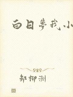 白日梦我小说