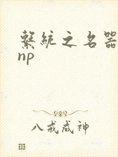 系统之名器攻略np