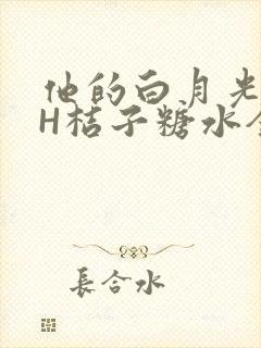 他的白月光HVH桔子糖水全文
