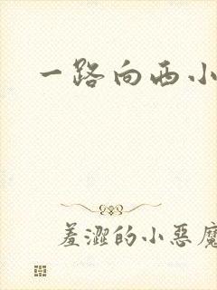 一路向西小说