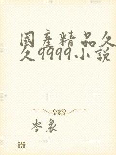 国产精品久久久久9999小说