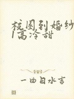 校园到婚纱1V1高冷甜