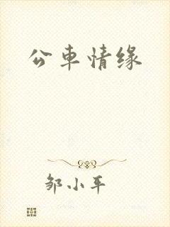 公车情缘