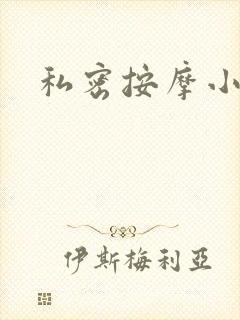 私密按摩小说