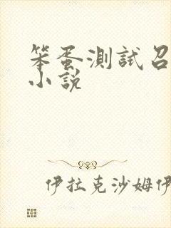 笨蛋测试召唤兽小说