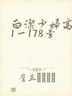 白洁少妇高义第1一178章