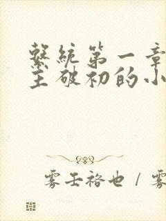 系统第一章给宿主破初的小说