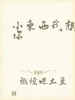 小东西我想弄坏你