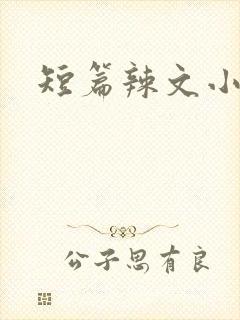 短篇辣文小说