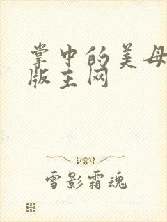 掌中的美母第一版主网