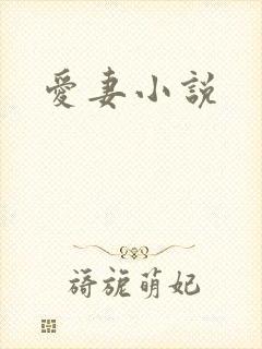 爱妻小说