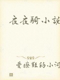 夜夜骑小说