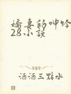 娇妻的呻吟1—28小说