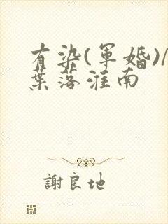 有染(军婚)/叶落淮南