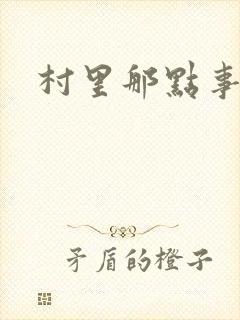 村里那点事儿