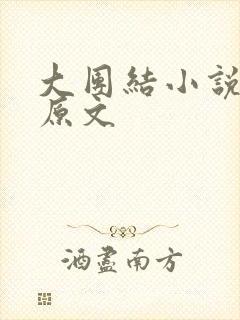 大团结小说阅读原文