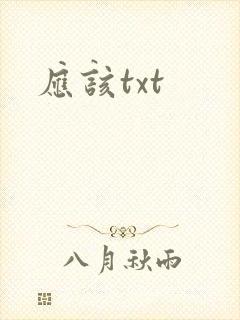 应该txt