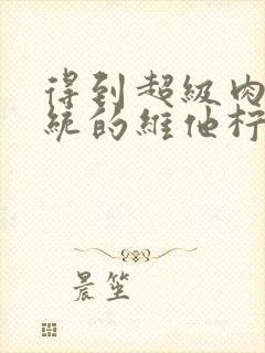 得到超级肉禽系统的维他柠檬茶