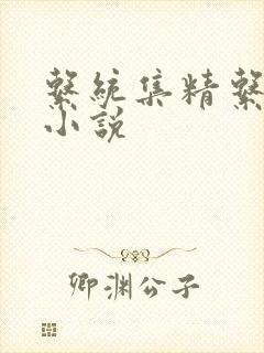 系统集精系统 小说