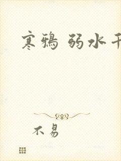 寒鸦 弱水千流