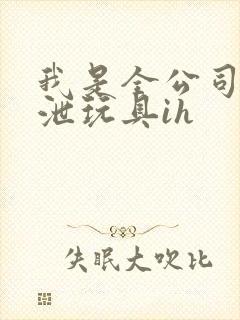 我是全公司的发泄玩具ih