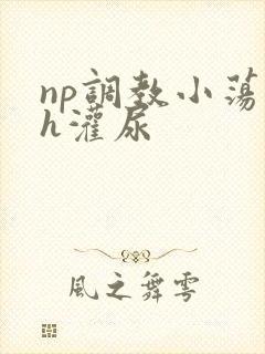 np调教小荡货h灌尿