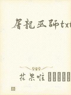 屠龙巫师txt