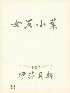 女友小叶