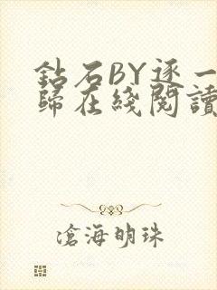 钻石BY逐一而归在线阅读