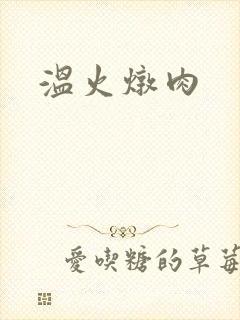 温火炖肉
