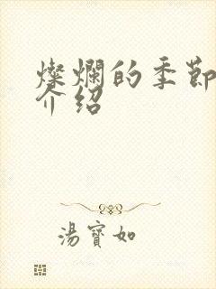 灿烂的季节剧情介绍