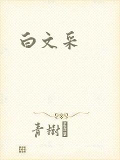 白文采