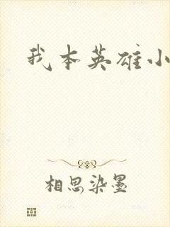 我本英雄小说