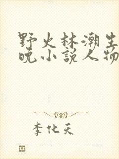 野火林潮生林晚晚小说人物野火