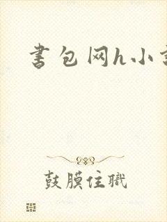 书包网h小说