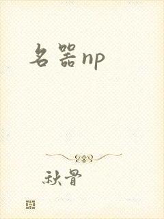 名器np